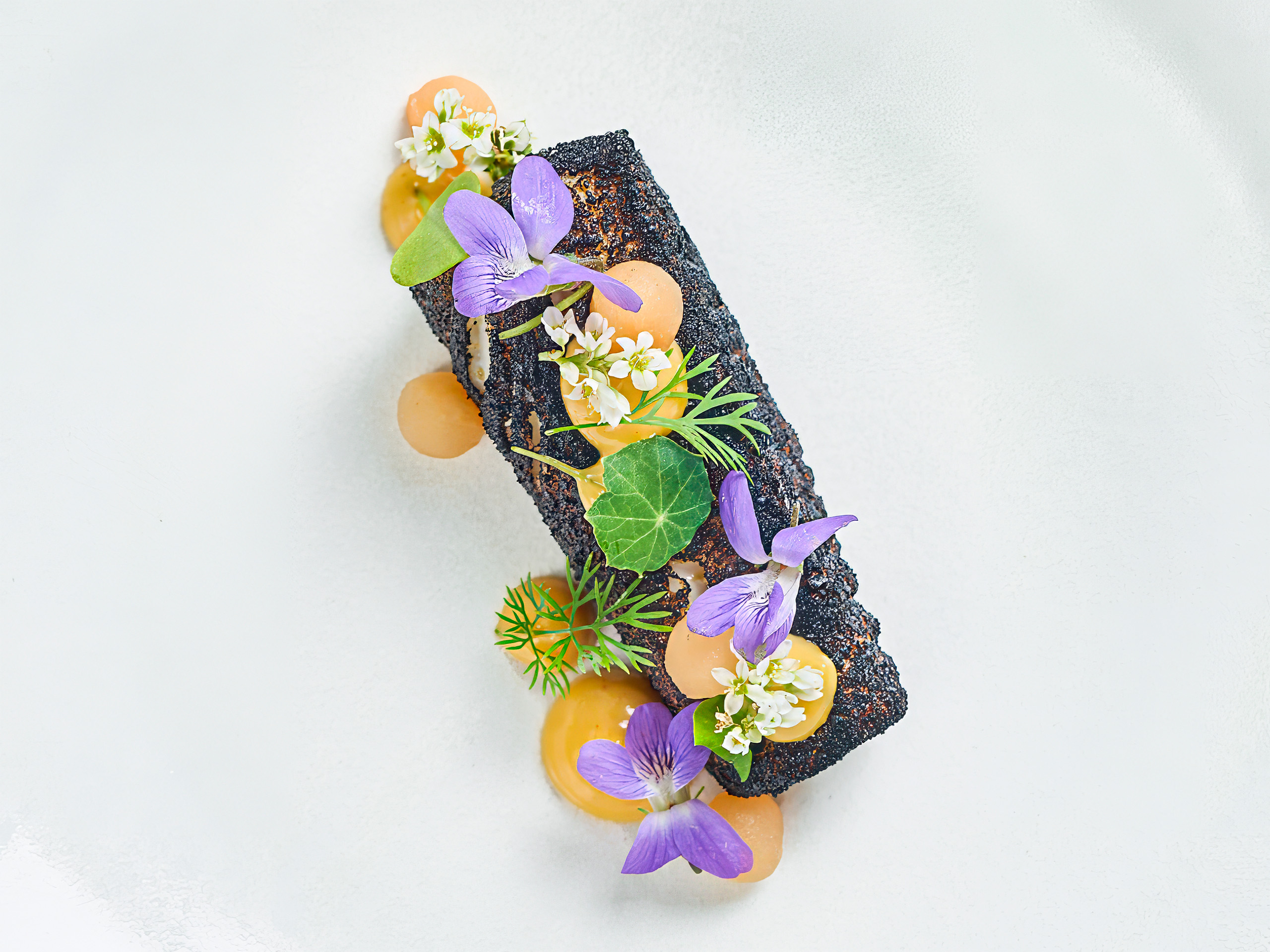 Fine dining tasting menu plate in Ottawa